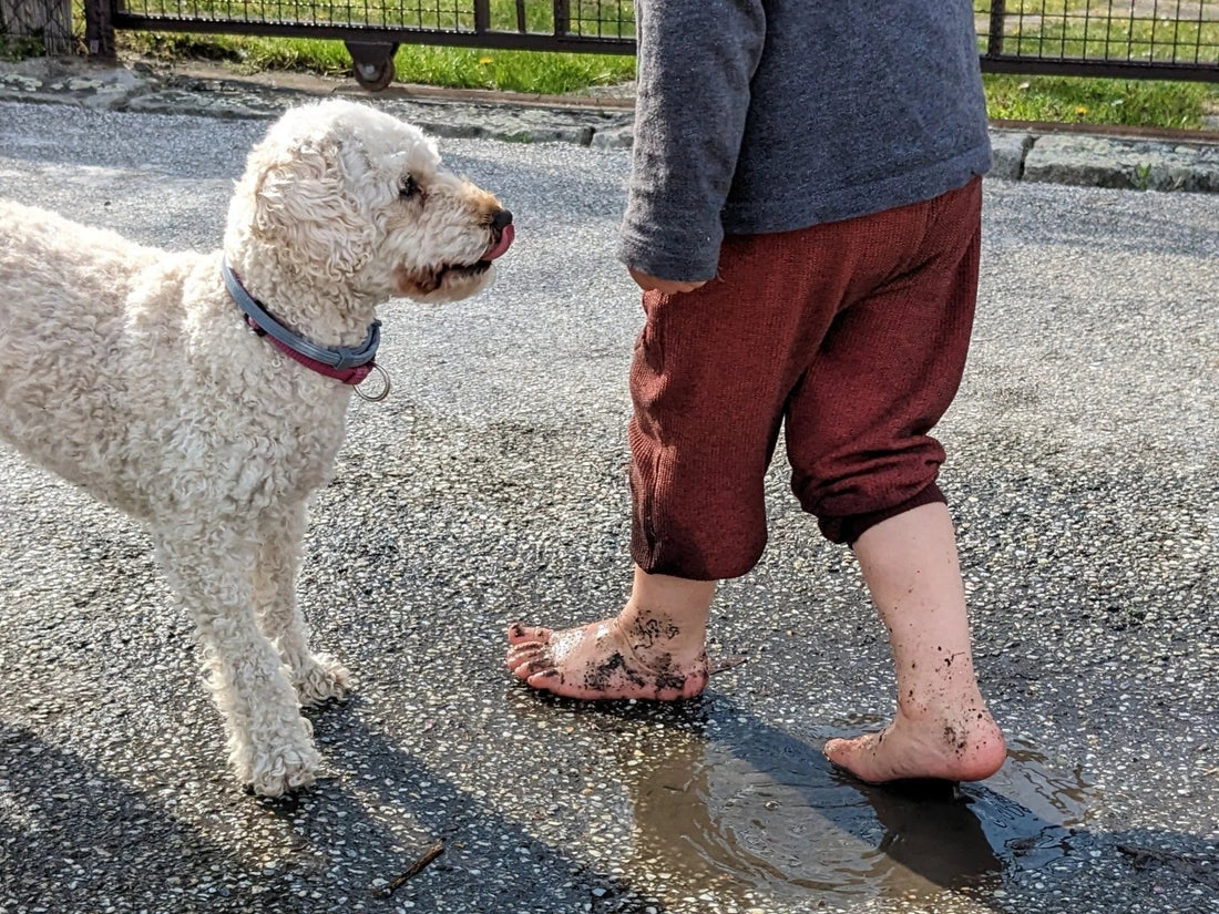 Bosonogo hodanje i barefoot obuća