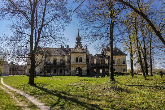Dvorac u Vlajkovcu: kada izgled ume da zavara